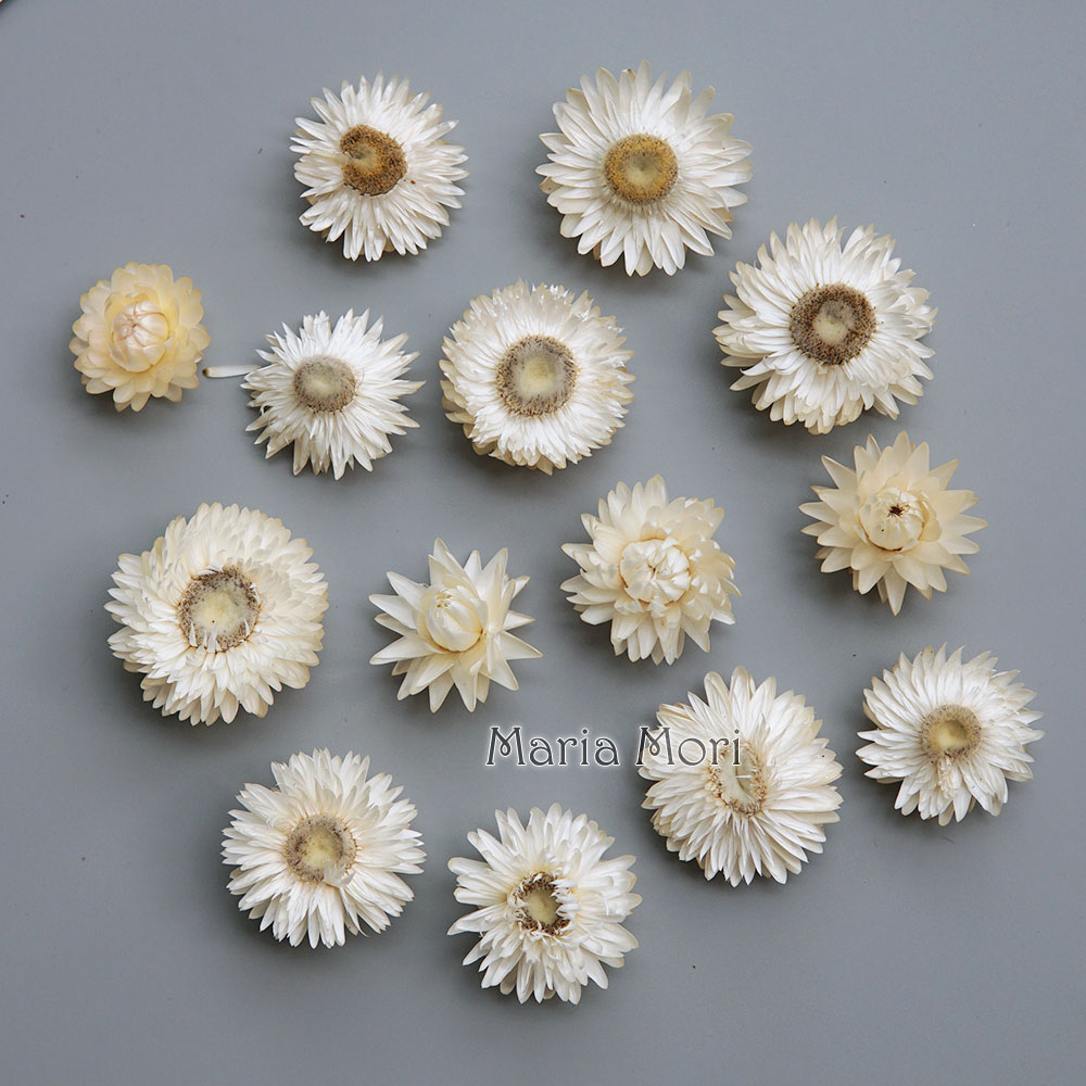 Natural Dried Colorful Chrysan - огляд і ціна Candle Making Products