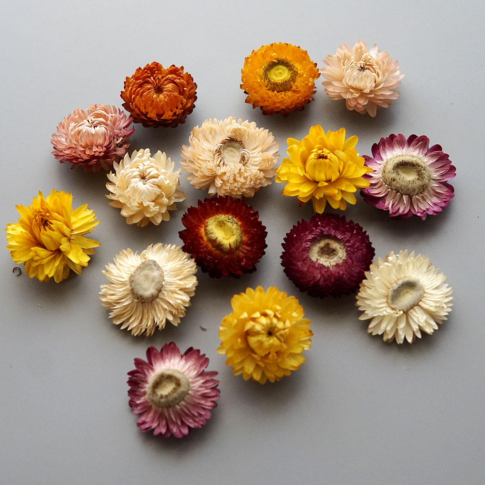 Natural Dried Colorful Chrysan - огляд і ціна Candle Making Products
