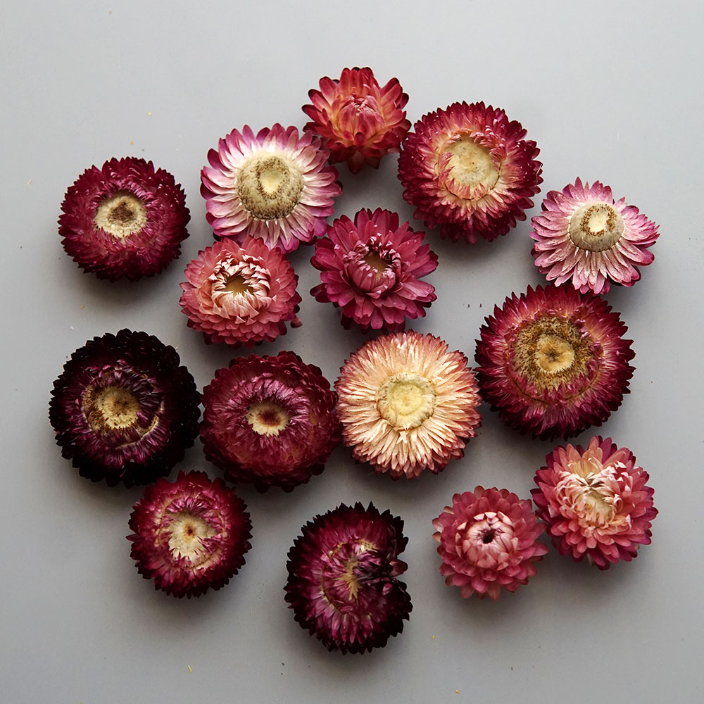Natural Dried Colorful Chrysan - огляд і ціна Candle Making Products