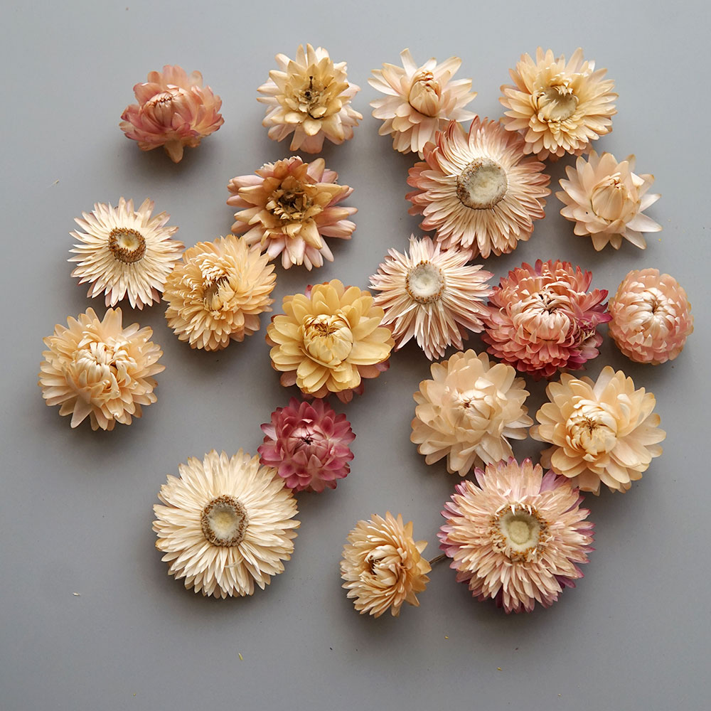 Natural Dried Colorful Chrysan - огляд і ціна Candle Making Products