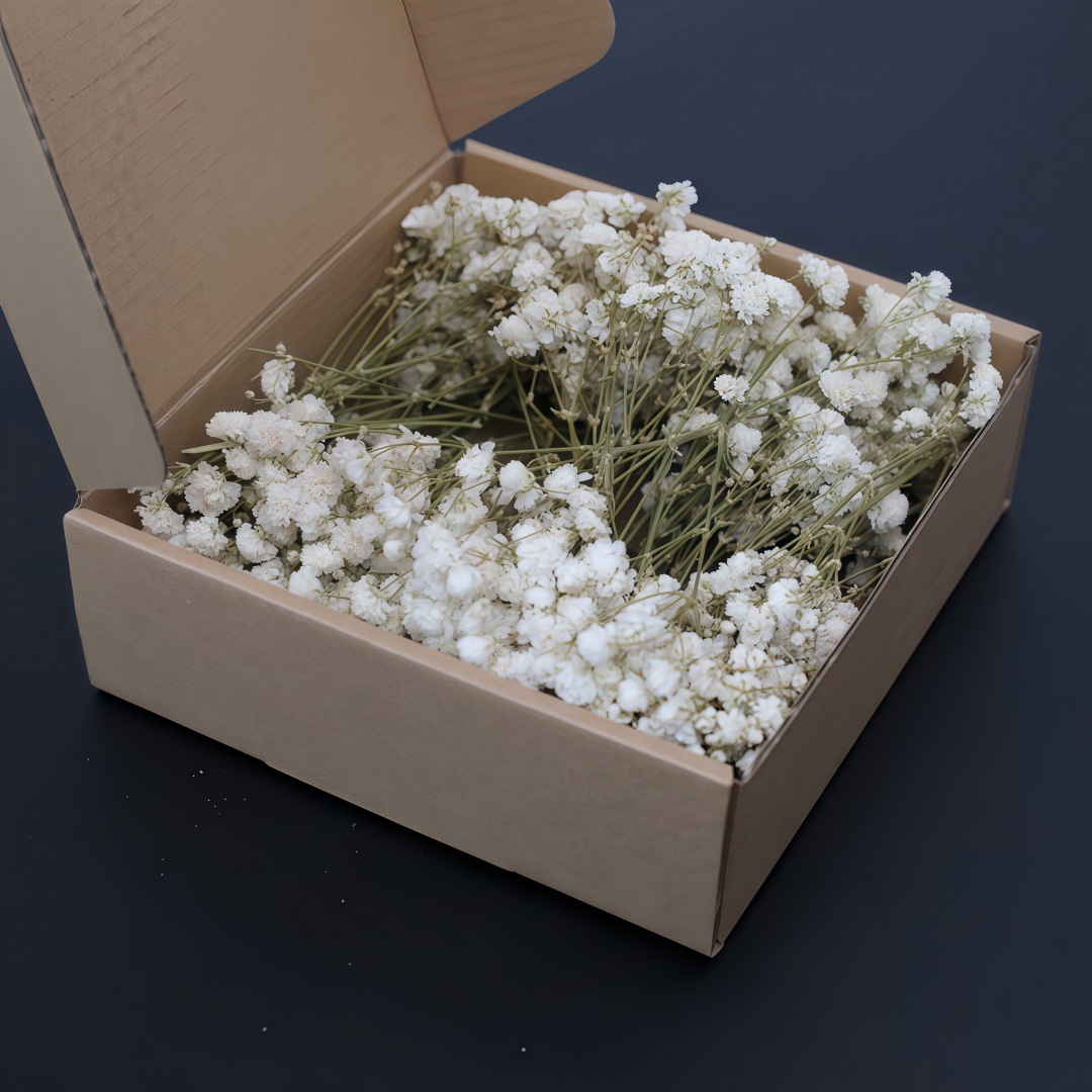 50Pcs Mini White Dried Baby's  - огляд і ціна Candle Making Event