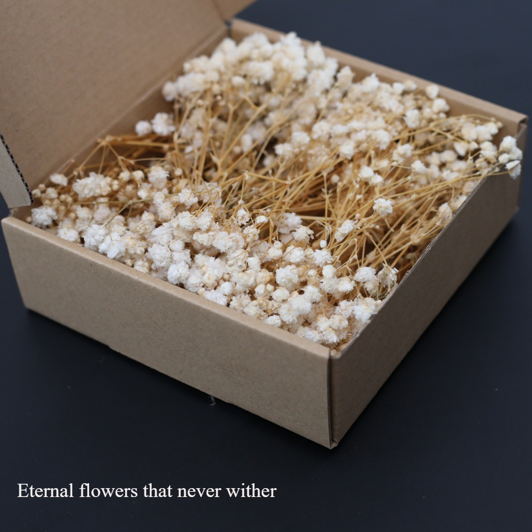50Pcs Mini White Dried Baby's  - огляд і ціна Candle Making Event